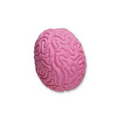 Brain Stock Shape Pencil Top Eraser